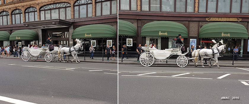 White horses Harrods